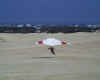 Testing wind.jpg (34219 bytes)